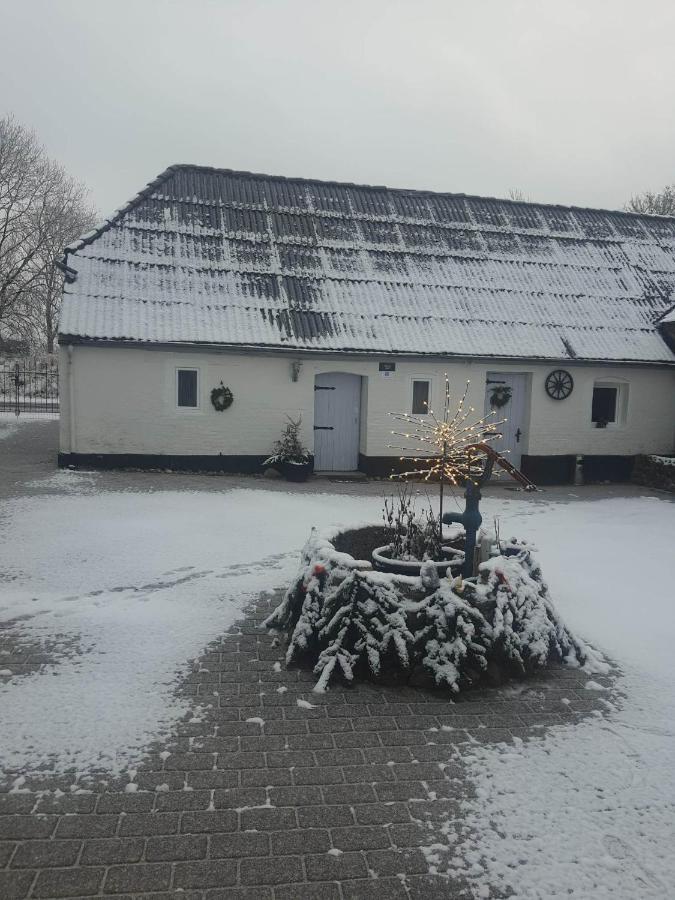 Trandafir Guesthouse Egtved Extérieur photo